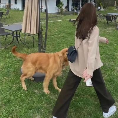 危机总动员